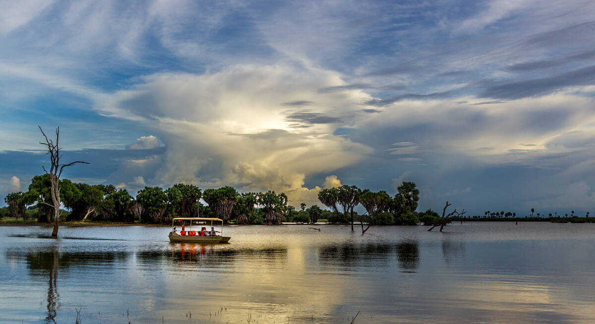 Ruaha National Park atmosphere
