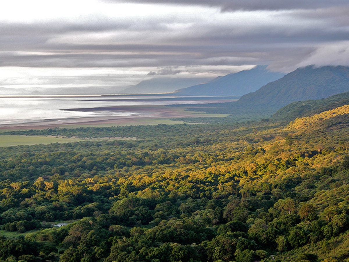 Rift Valley Escarpment