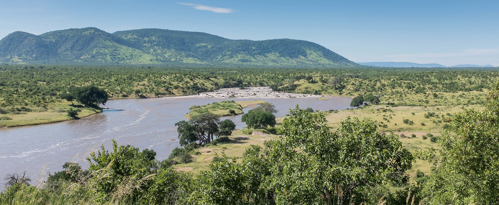 Ruaha National Park landscape