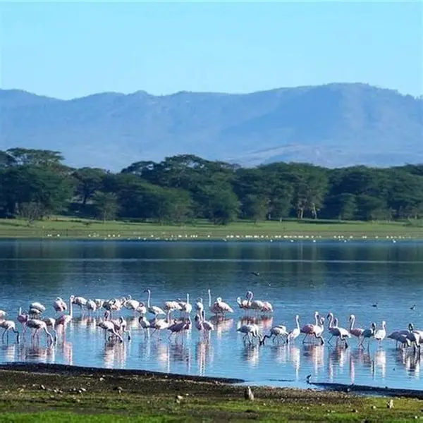 Lake Manyara landscape